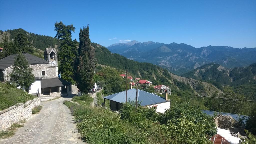 Χenonas Ziakos Hotel Amárantos Bagian luar foto