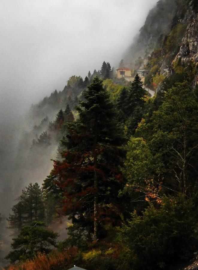 Χenonas Ziakos Hotel Amárantos Bagian luar foto
